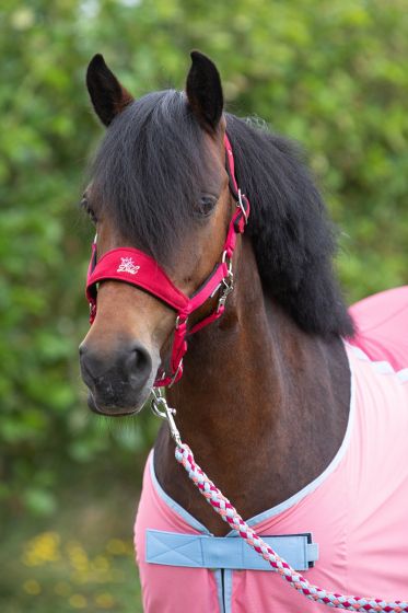 Harry`s Horse Halsterset Diva Fuchsia