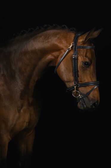 Mrs. Ros Trenshoofdstel Ortega Zwart