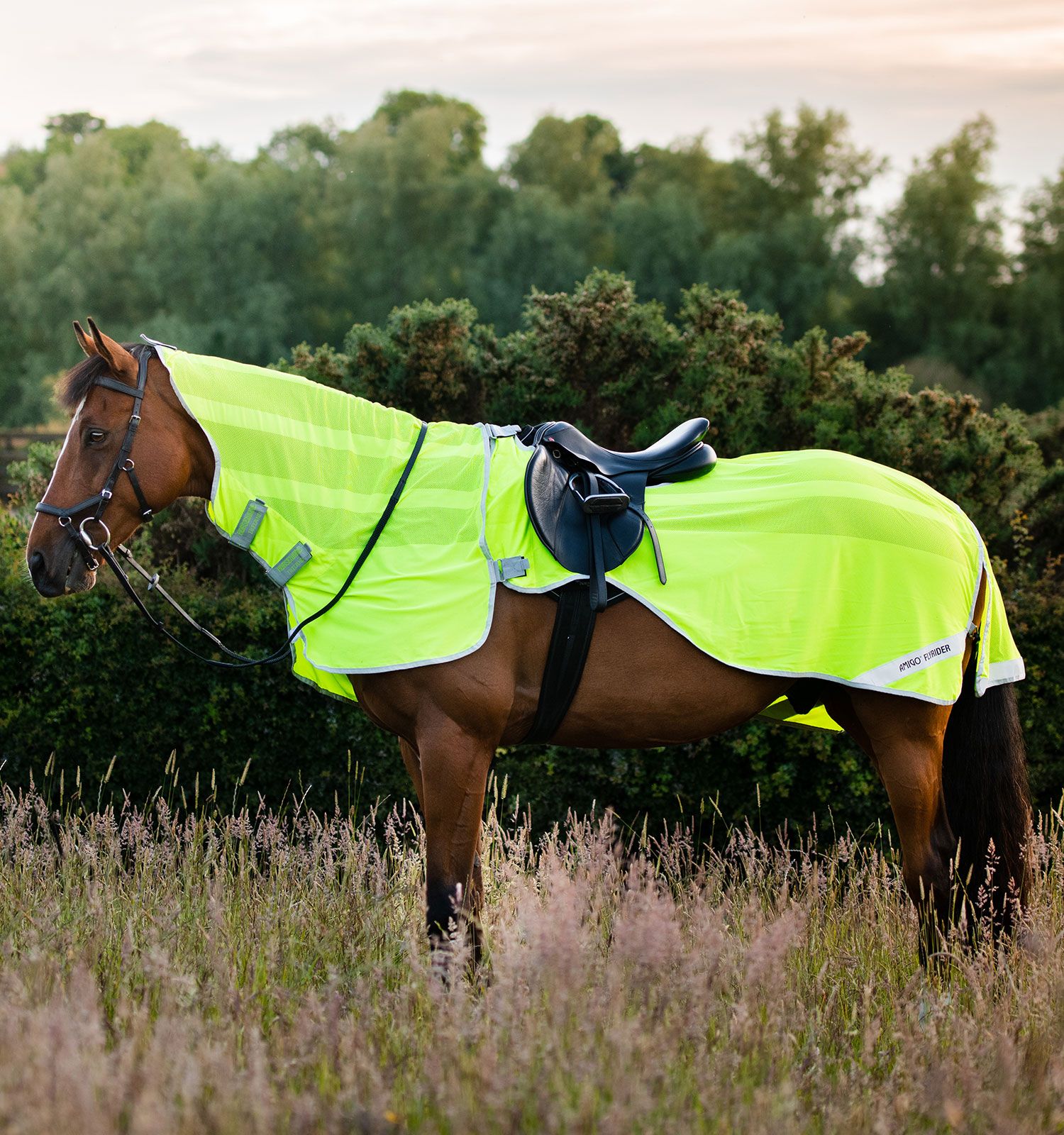 Horseware Amigo Vliegenrijdeken Yellow Fluo online kopen bij De gezelligste ruitersportwinkel van Nederland!