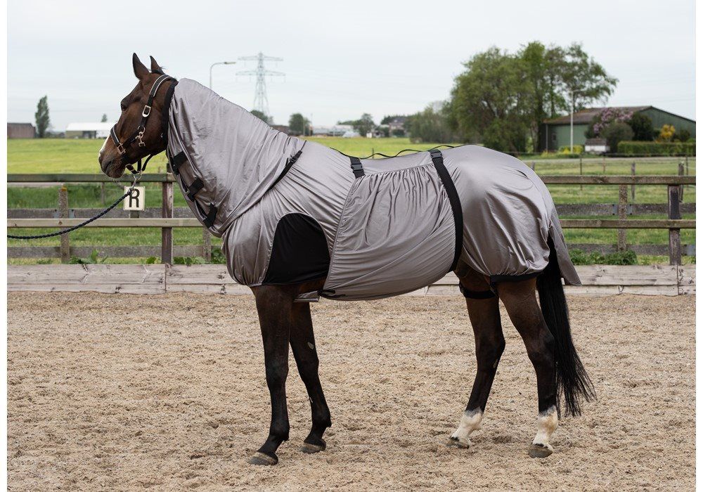 Harry's Horse Eczeemdeken UV Werend online kopen bij Ruiterstad. 32205034 De ruitersportwinkel van Nederland!