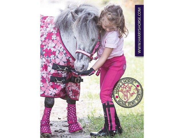wijsheid defect Jabeth Wilson Harry's Horse Regendeken Diva roze online kopen bij Ruiterstad. 32201131 De  gezelligste ruitersportwinkel van Nederland!