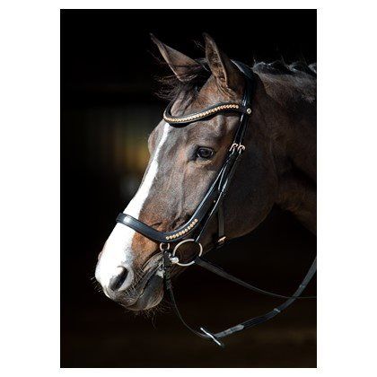 Harry's Horse Hoofdstel rosegold kopen bij Ruiterstad. 28000051 De gezelligste ruitersportwinkel van Nederland!