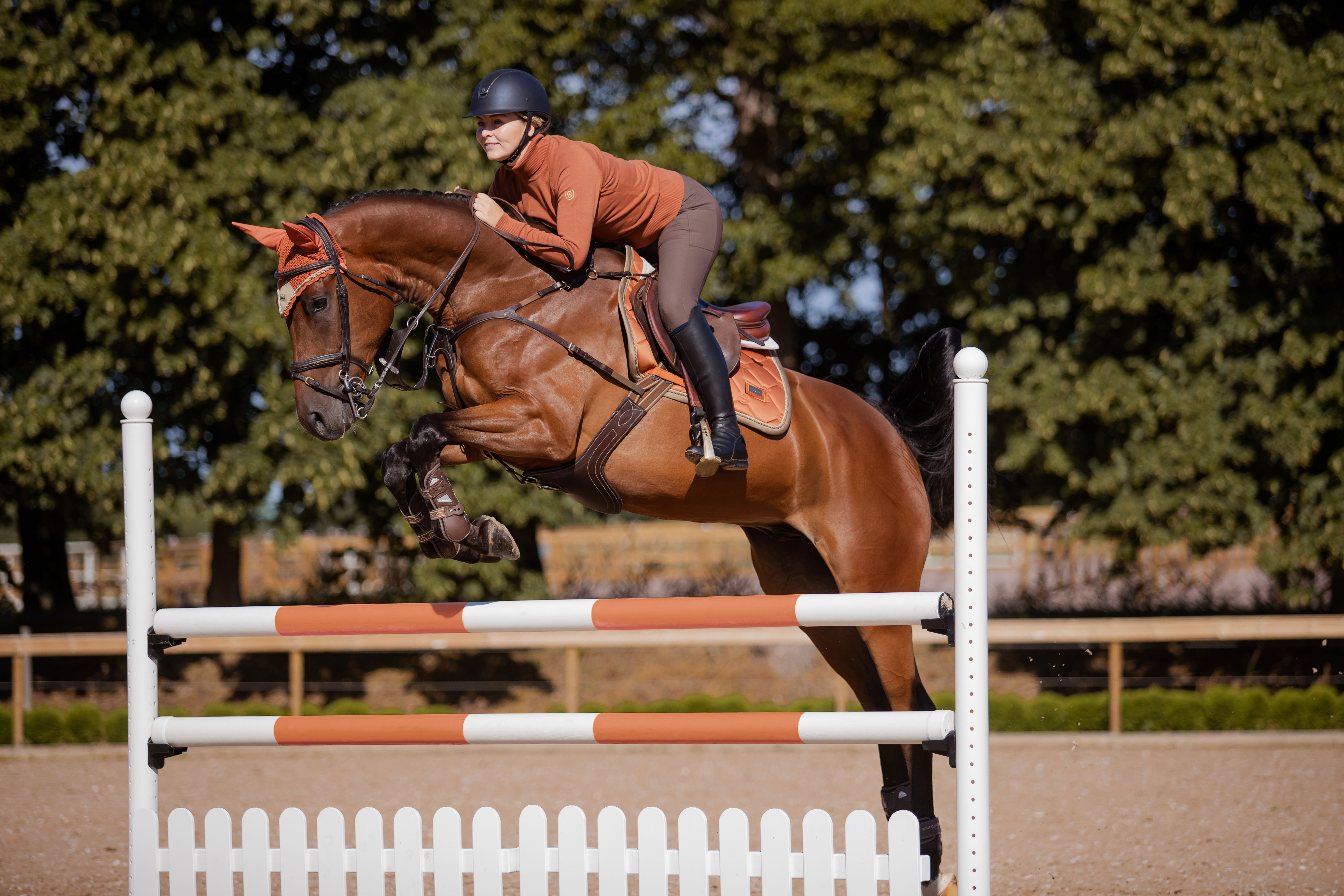 Equestrian Stockholm Zadeldek Jump Bronze Gold online kopen bij