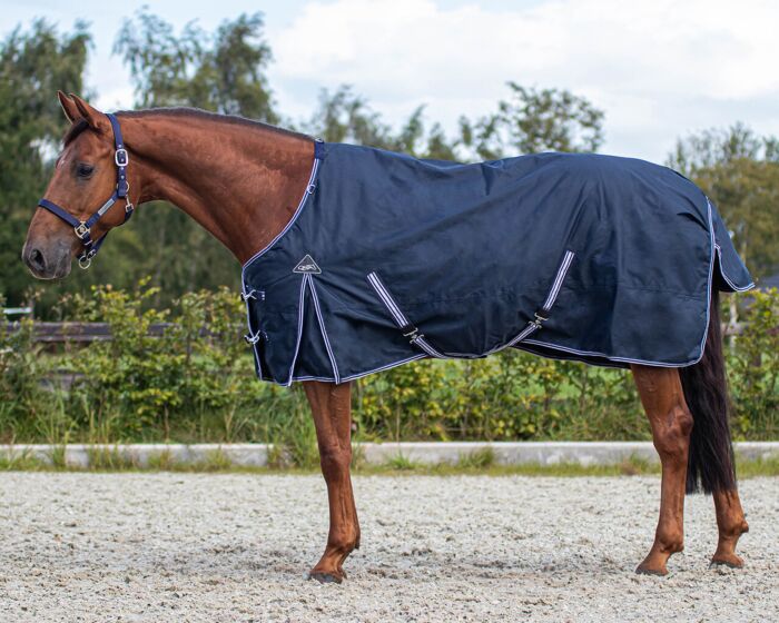 QHP Winterdeken Luxe 300gr Zonder Hals Navy