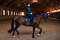 Equestrian Stockholm Zadeldek No Boundaries Monaco