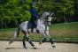 Equestrian Stockholm Zadeldek DR Royal Classic