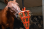 Hay Slowfeeder Fun and Flex 22cm Wortel oranje