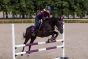 Equestrian Stockholm Zadeldek Jump Purple Gold