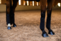 Equestrian Stockholm Bandages Black Glimmer
