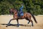 Equestrian Stockholm Dressuurdekje Monaco Blue