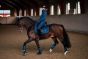 Equestrian Stockholm Dressuurdekje Blue Meadow