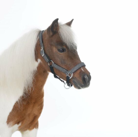 HB Halster Glitter Shine zwart