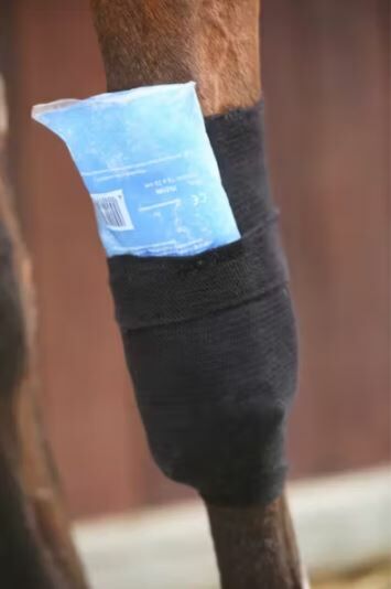 Kentucky Tendon Gel Grip Kous zwart