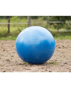 QHP Paardenvoetbal 80-100cm blauw