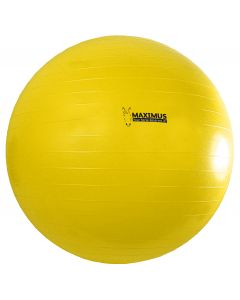 Hofman Maximus Power Speelbal 100cm