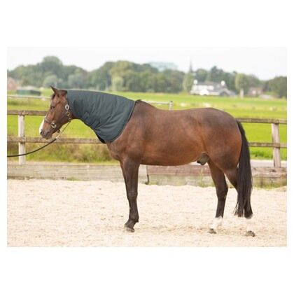 Harry's Horse Los Halsstuk Thor 200 gram Ebony