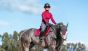 Equestrian Stockholm Zadeldek Jump Wild Rose