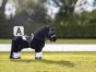 Le Mieux Mini Pony Hoofdstel zwart