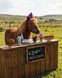 QHP Paardenspeelgoed Snackcounter Hamburger