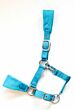 HB Fleece Halster Bellwood Turquoise