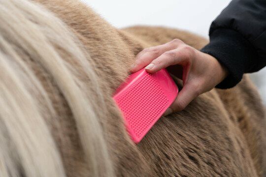 Excellent Horse Grooming Borstel Medium roze
