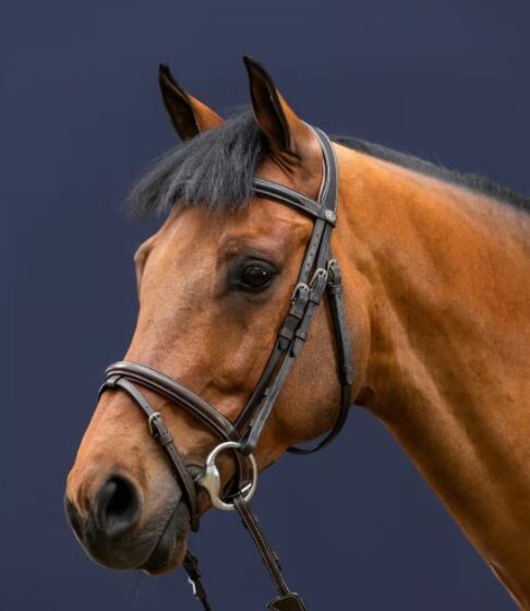 Dy'on flash noseband Hoofdstel Bruin