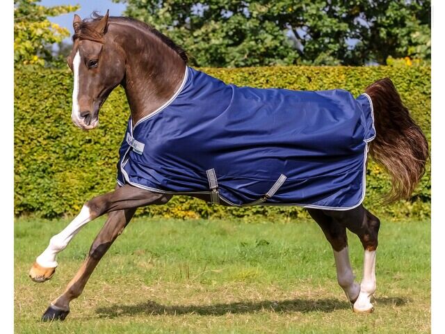 Bucas Freedom Turnout Winterdeken 300gr NavyZilver