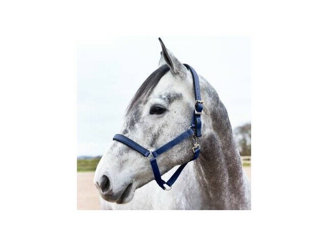 Bucas Halster Dublin navy/navy