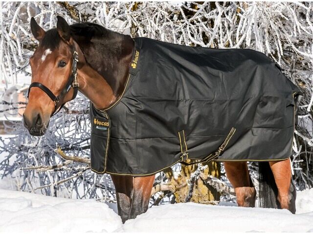 Bucas Irish Turnout Regendeken 50gr Zwart/Goud