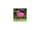 Bucas Freedom Fly Mask pink