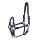 Imperial Riding Halster Laura Navy