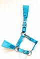 HB Fleece Halster Bellwood Turquoise