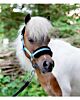 HB Halster Little Sizes Sunny Flower Blauw