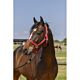 Norton Halster Grooming Rood