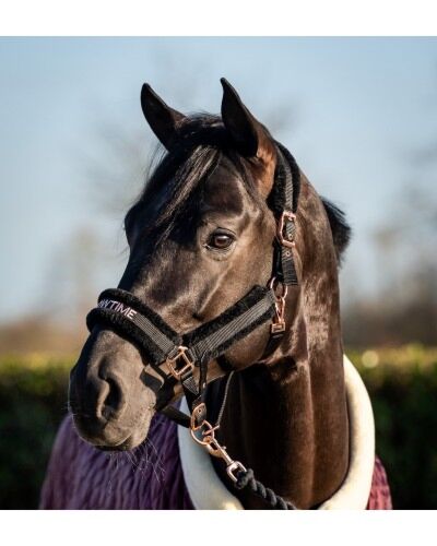 HB Halster Showtime Teddy Zwart/Roze