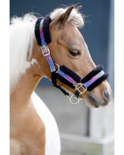 HB Halster Little Sizes Funny Zwart/Regenboog