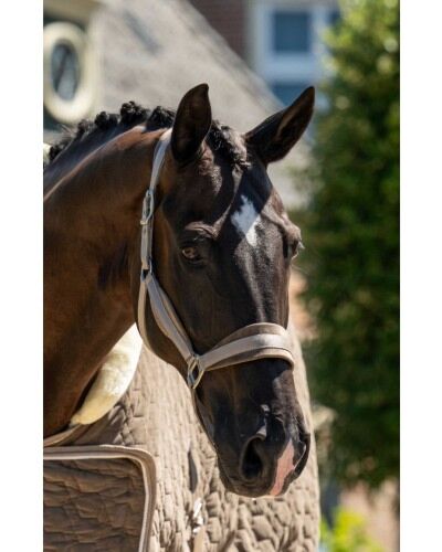 HB Halsterset Showtime Velvet Taupe