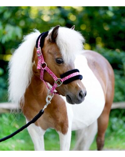 HB Halster Little Sizes Sunny Flower Fuchsia