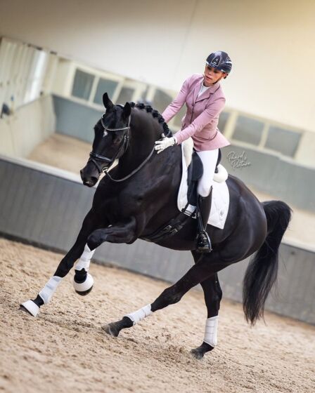 MrsRos Wedstrijdjas Blush Noir Mesh Roze