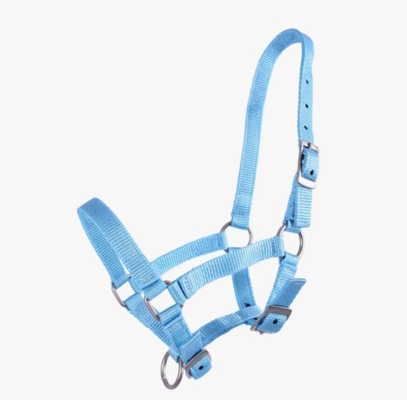 Q-essentials Veulenhalster Baby Blauw