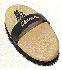 Leistner Borstel Charmeur