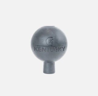 Kentucky Lijn- en Muurbescherming grijs