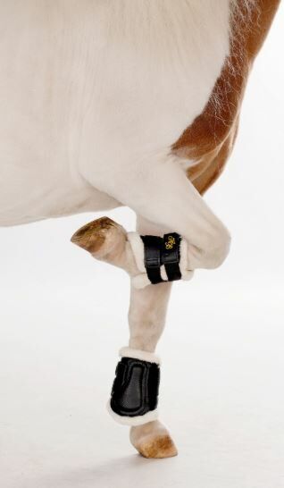 HB beenbeschermers bont Zwart