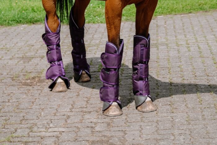 EquiTheme Transportbeschermers Tyrex 600D Pruim