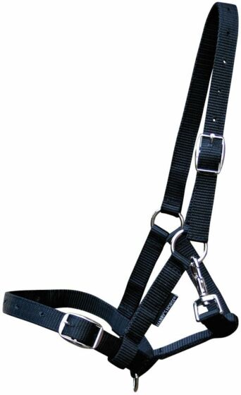 Harry's Horse Nylon Veulenhalster zwart