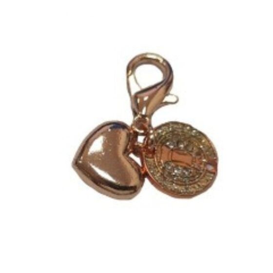 Imperial Riding Hoofdstel Bedel Hartje met Munt