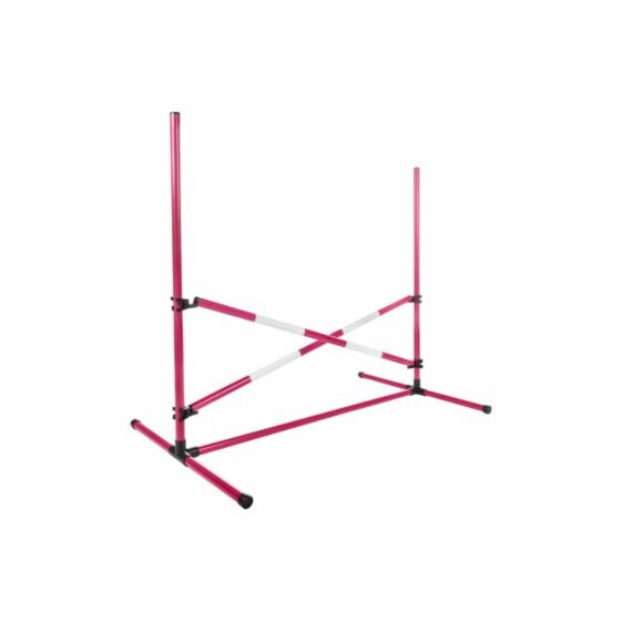 HKM Hobby Horse Springset Roze