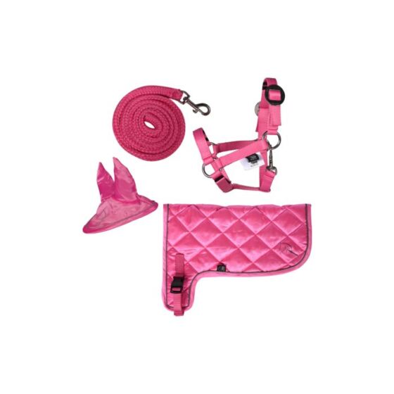 HKM Hobby Horse Neon Set Roze