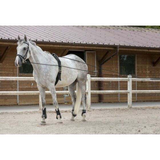 Riding World Dubbele Longeerlijn Leer zwart
