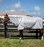 Horseware Amigo Bug Rug + Hals Zilver